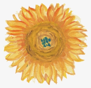 Free Download - Sunflower
