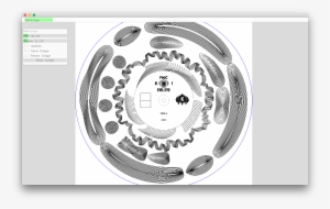 Evil Eye Records → X - Circle