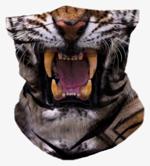 Share This Image - Wildlife Heritage Foundation