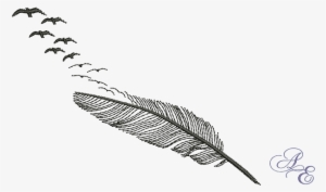 Download Bird Feather Tattoo By Djakal12 - Feather Birds Tattoo Png ...