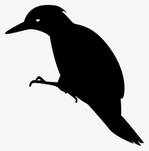 Green Woodpecker Silhouette - Ivory Billed Woodpecker Silhouette