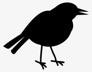 Bird Beak Silhouette American Crow Wing - Clip Art