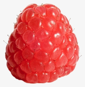 Raspberry Png Picture - Raspberry Png