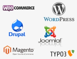 A Company's Website Now Plays A Vital Role In The Day - Websites That Are Dynamic