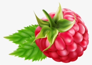 Raspberry Clipart Png