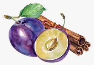 Product Composition - Plum Drawing