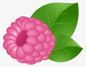 Raspberry Clipart Transparent