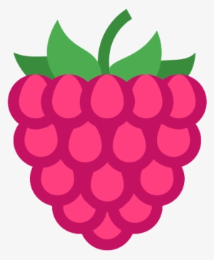 Raspberry Icon