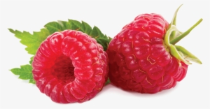 Raspberry - Beneficios De La Mora