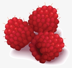 Raspberries Clipart