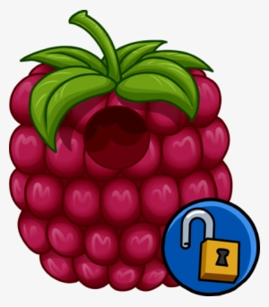 Raspberry Costume - Club Penguin Mp3000