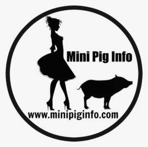 Gift Ideas For The Pig Or Pig Lover In Your Life