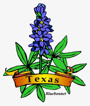 Texas Theme Day Camp, Shac Png Royalty Free Download - Texas State Flower Drawing