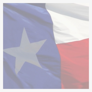 Support This Campaign By Adding To Your Profile Picture - Texas Profile
