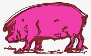 Pig Sketch - Pig