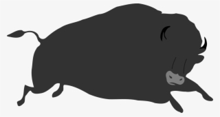 Cat European Bison Pig American Bison Canidae - Custom Grey Buffalo Shower Curtain