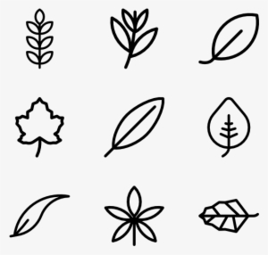 Leaves - Icon