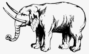 African Elephant Tiger Lion Elephantidae Indian Elephant - Elephant Ancient