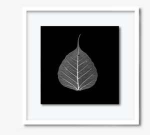 59 - Dav#pearce-leaf