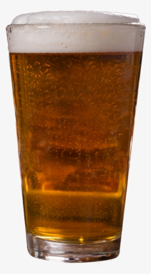 Pint Of Beer - Lager