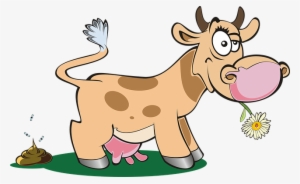 Cattle