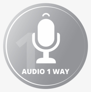 2 Way Audio Icon