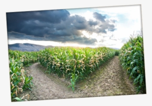 Home2018 10 12t16 - Field