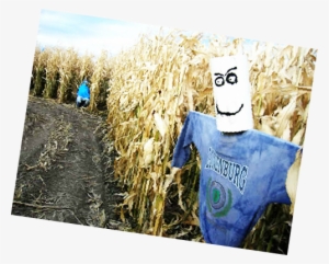 Copyright 2017 - Field