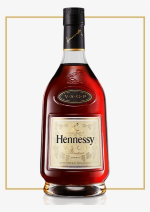 Hennessy Vsop Privilege