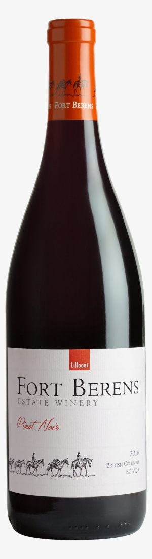 Pinot Noir, Download