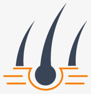 Original Size Is 520 × 530 Pixels - Hair Transplantation Logo