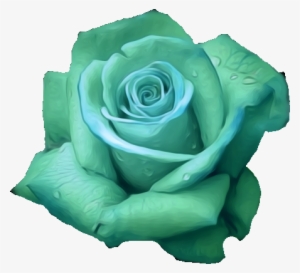 Mint Green Roses Png