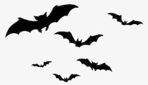 Bats Png