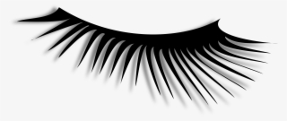 80 Free Images Of Eyelash - Eye Lash Clipart