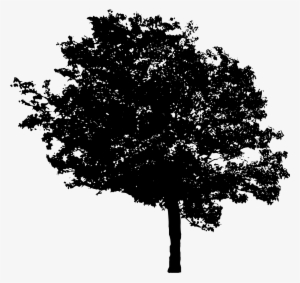 Free Download - Tree In Black Transparent