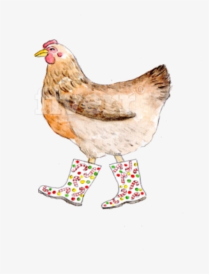 Rooster
