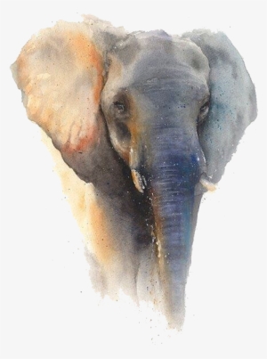 Elephant Sticker - Framed Poster Prints - Elephant By Eric Sweet