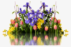 Spring Flower Transparent Png - Tulipán Nárcisz Ibolya Virágcsokor