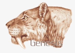 File - Iddd - Smilodon Dessin