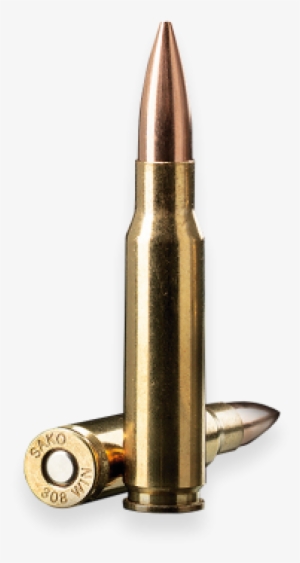 308 Win Ammunition - Bullet