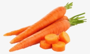 Carrots Png Image Free - Imagenes De Una Verdura
