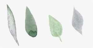 Free Watercolor Floral Pattern Png - Watercolor Painting