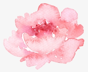 Sweet Paws In Wonderland - Peony