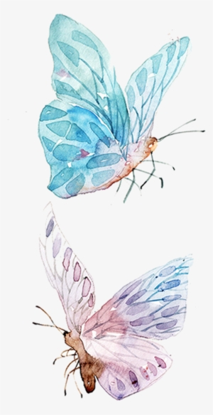 Watercolor Painting Drawing Clip Art - Watercolor Butterfly Illustration Png