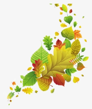 0 B2ad1 9062393 Xl - Vector Graphics