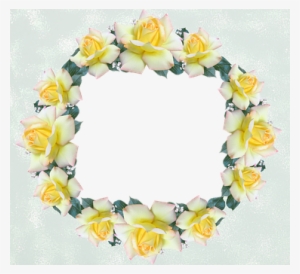 Frame, Border, Rose, Flower - Photograph