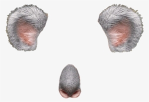 37 Images About Snapchat Filters ♡ On We Heart It - Snapchat Filters No Background