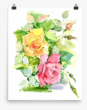 Bright And Floral Rose Watercolour Print Matte Poster - Watercolor Painting