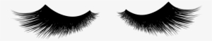 Eyelash Png Graphic Stock - Eyelashes Transparent Png