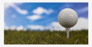 Golf Ball On Green Grass Over A Blue Sky Poster • Pixers® - Pitch And Putt